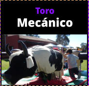 Toro Mecnico