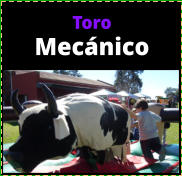 Toro Mecnico