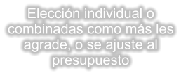 Eleccin individual o combinadas como ms les agrade, o se ajuste al presupuesto