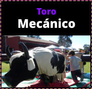 Toro Mecnico